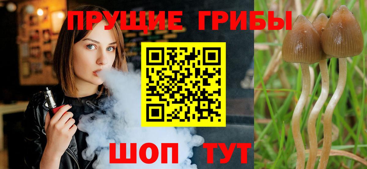 Галлюциногенные грибы Cubensis  Вход с VPN  Кемерово 