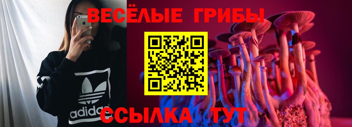 Галлюциногенные грибы мухоморы Кемерово